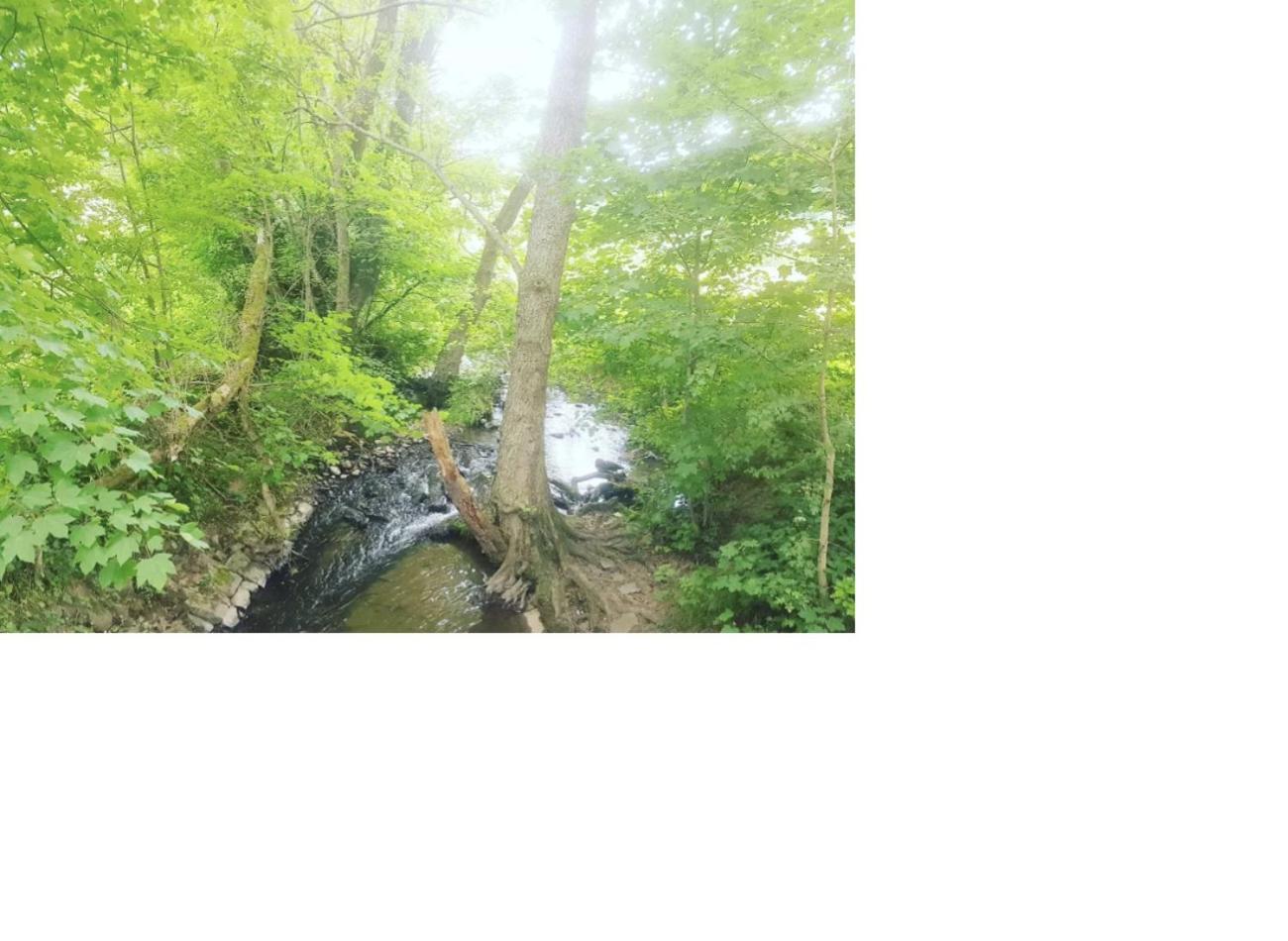 Natur Pur Frielendorf ภายนอก รูปภาพ