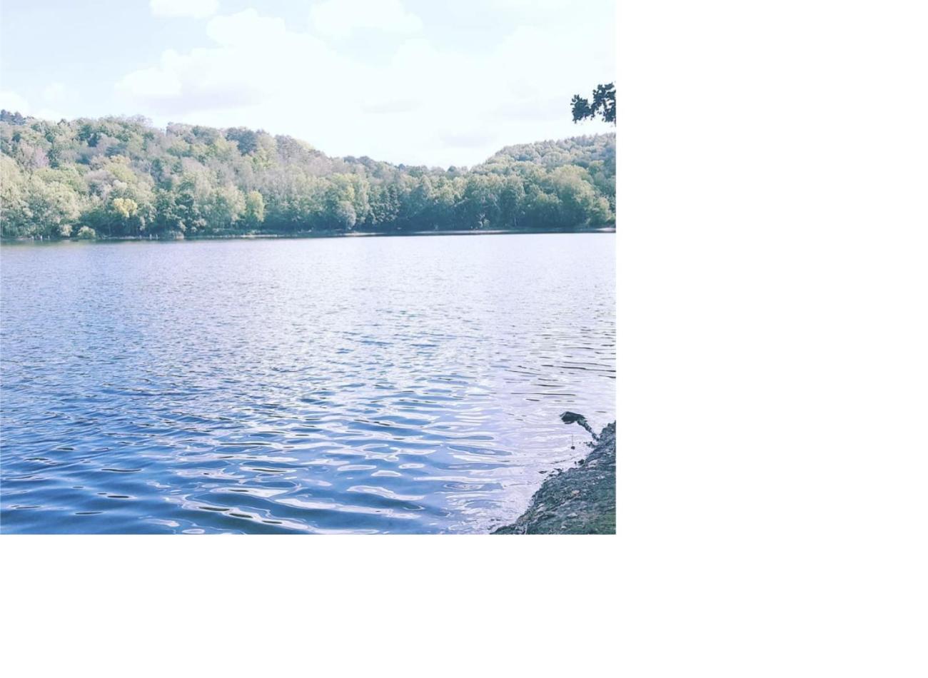 Natur Pur Frielendorf ภายนอก รูปภาพ