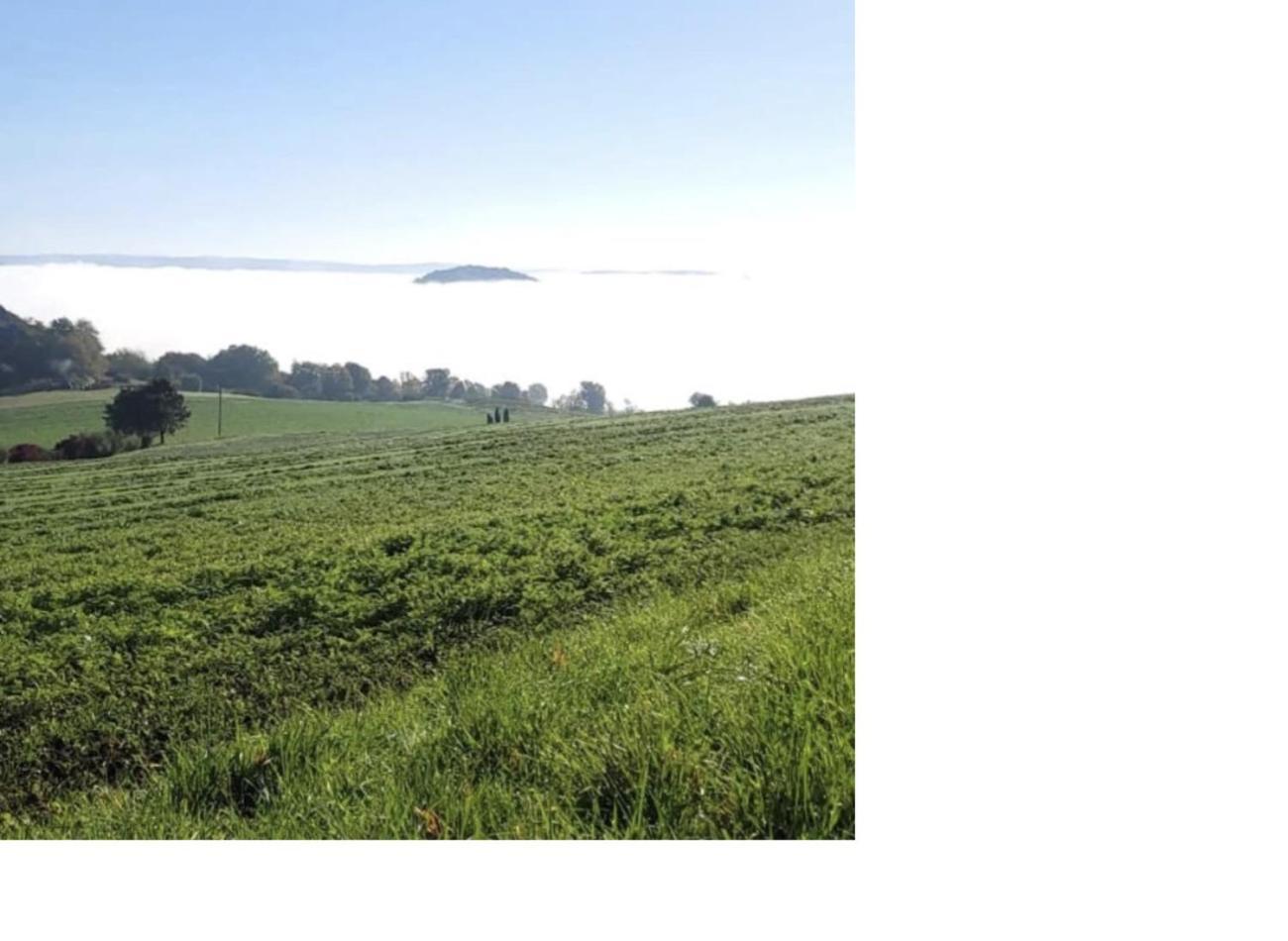 Natur Pur Frielendorf ภายนอก รูปภาพ