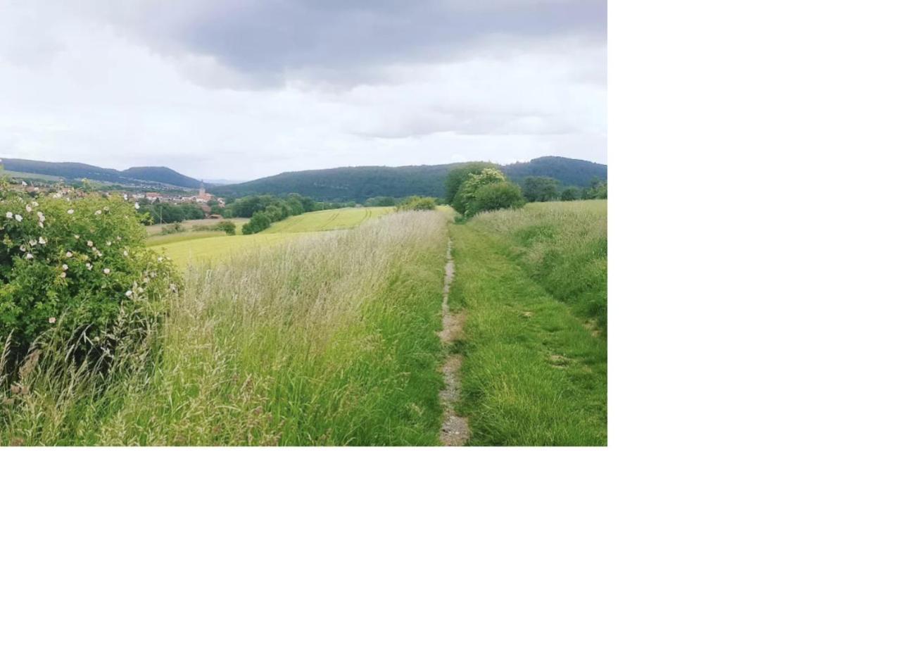 Natur Pur Frielendorf ภายนอก รูปภาพ