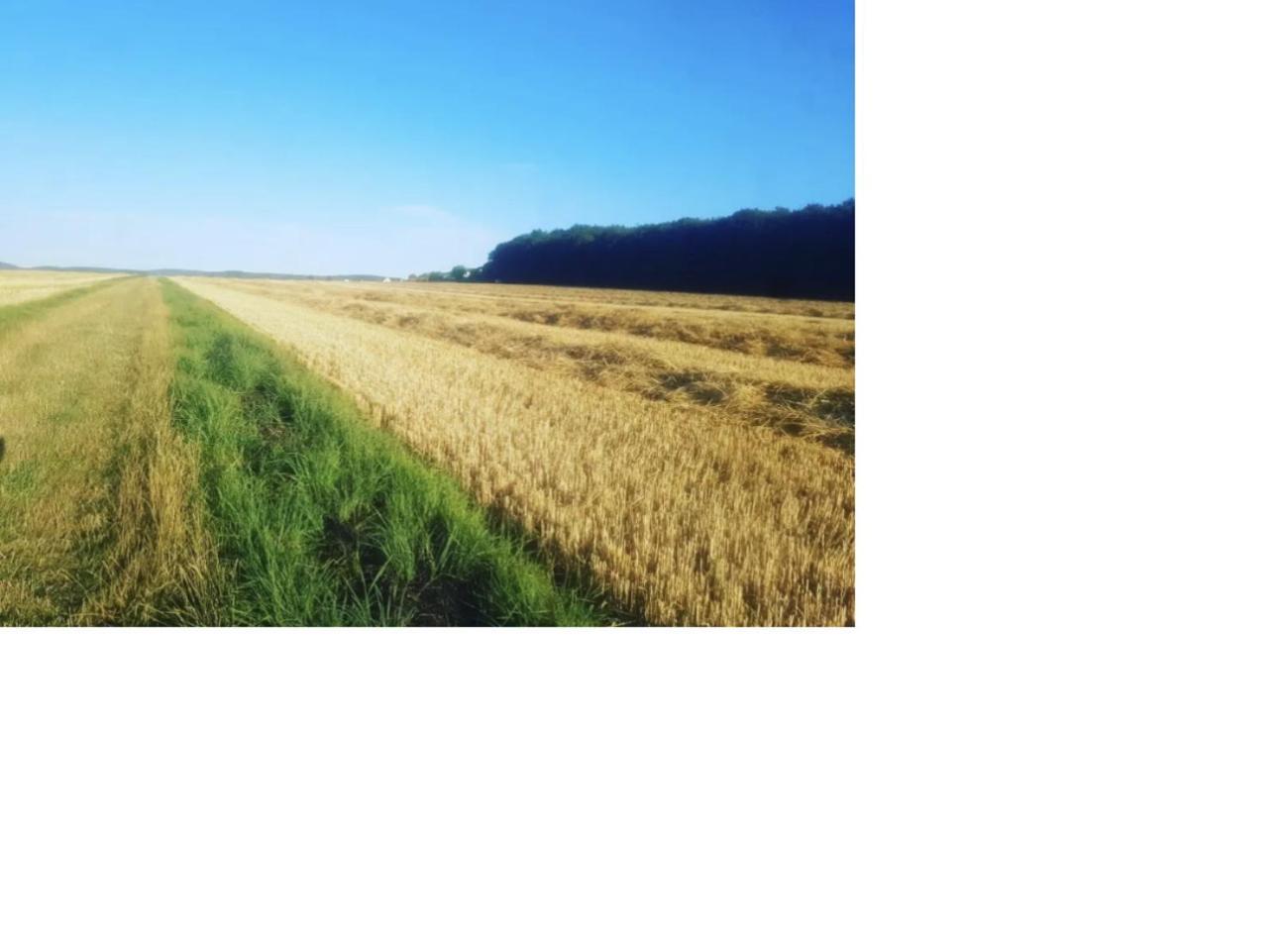 Natur Pur Frielendorf ภายนอก รูปภาพ