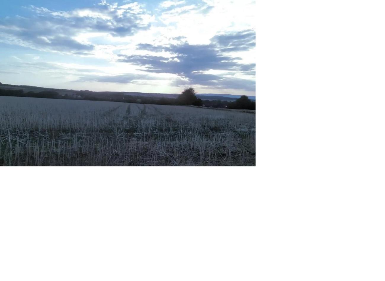 Natur Pur Frielendorf ภายนอก รูปภาพ